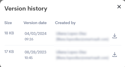FF - Preview Document Version History.png