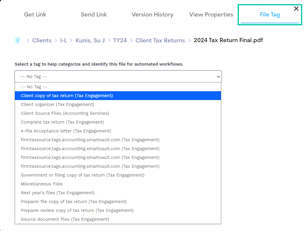 FF - File tag tab.png
