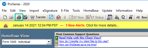 Image of Pro Series toolbar. See information above